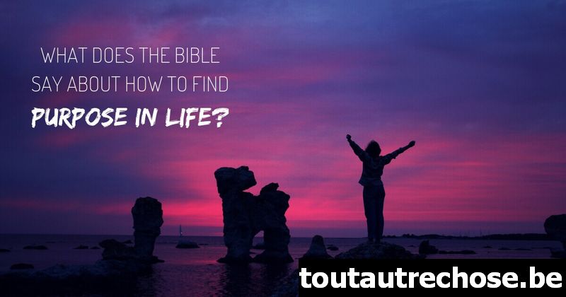 O que a Bíblia diz sobre como encontrar propósito na vida?