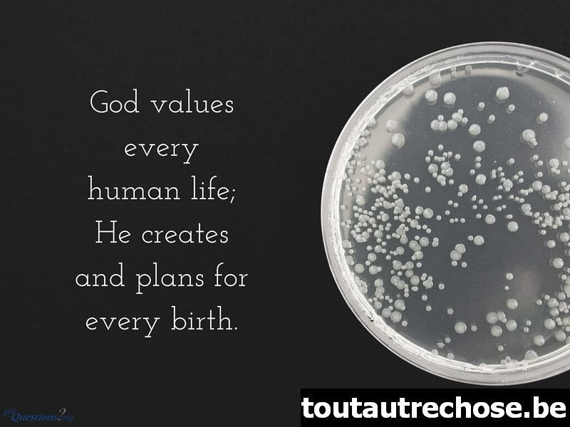 Mida ütleb Piibel in vitro viljastamise (IVF) kohta?